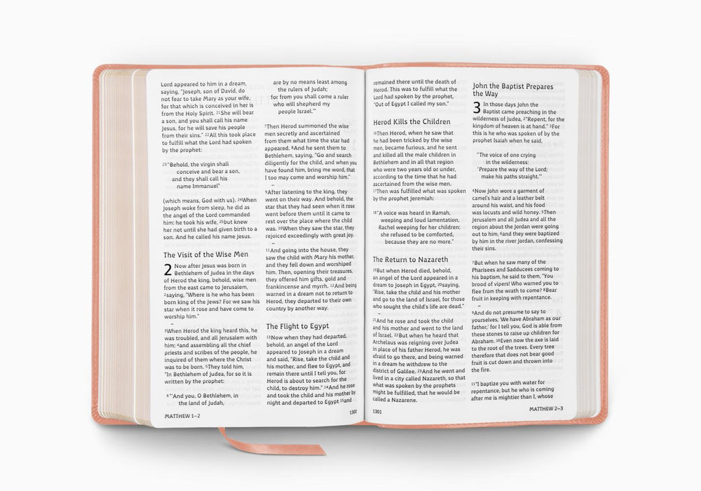 ESV Holy Bible: Dyslexia-Friendly Edition, TruTone, Blush Rose, Fleur-de-lis Design