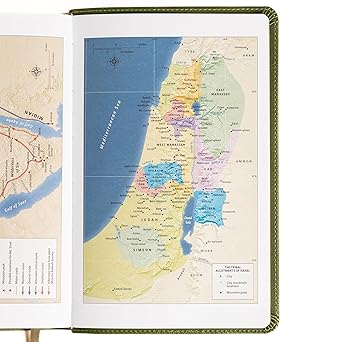 NASB Large Print Personal Size Reference Bible, Olive LeatherTouch