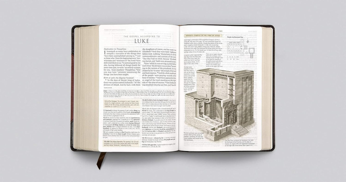 ESV Study Bible, Large Print TruTone®, Brown/Cordovan, Portfolio Design