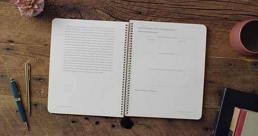 The Stories of Women: An 8-Week Bible Study (Meet Me in the Bible) - Colleen D. Searcy - Morning Star Christian Bookstores