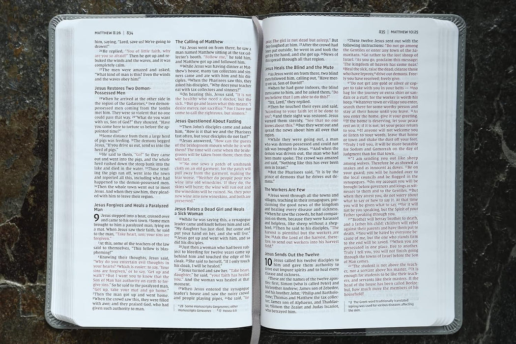 NIV, Bible for Kids, Leathersoft, Gray