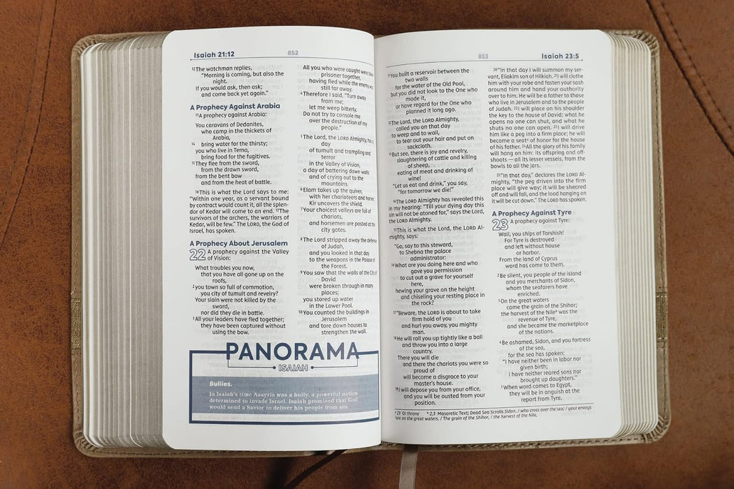 NIV Teen Study Bible Compact Leathersoft Brown