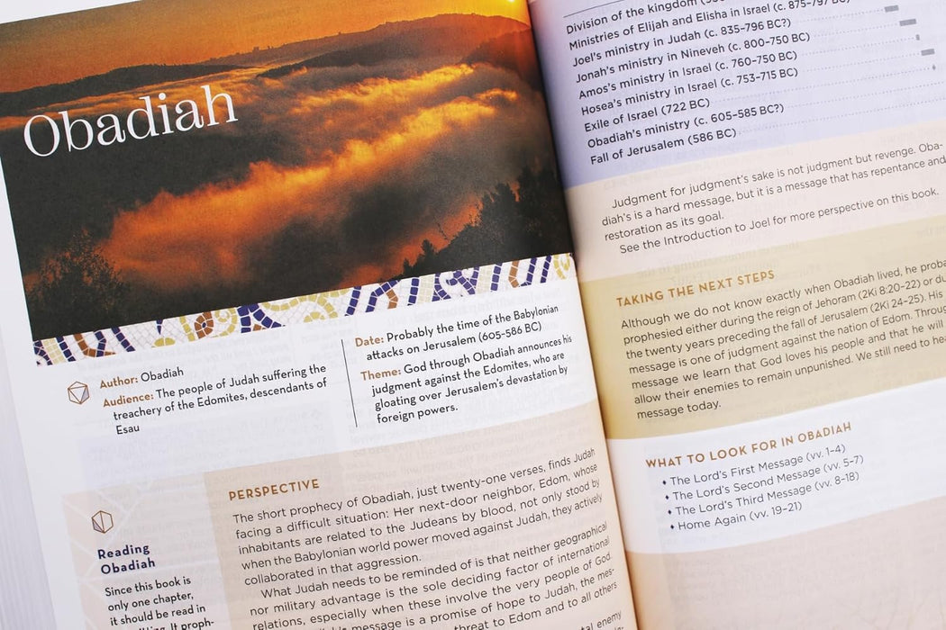 NIV Application Bible, Leathersoft, Coral/Gray, Red Letter, Comfort Print