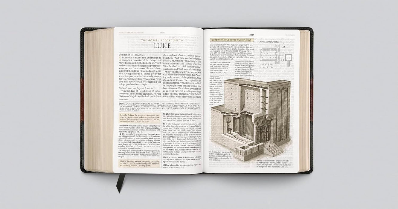 ESV Study Bible Large Print Trutone Forest/Tan Trail Design