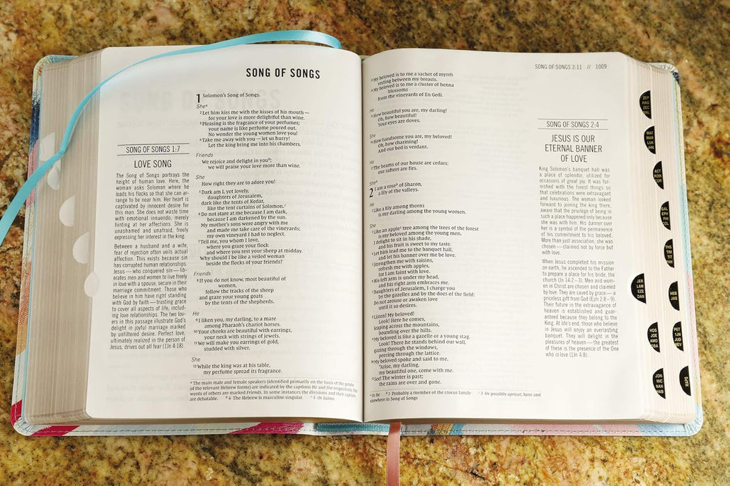 NIV The Jesus Bible- MultiColor/Teal Leathersoft