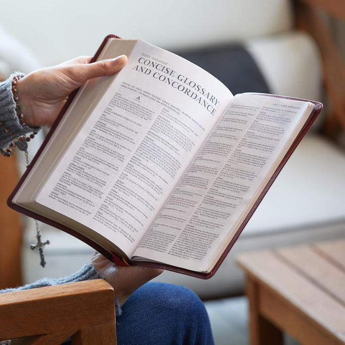 NRSV Large Print Standard Catholic Bible, Brown Leathersoft