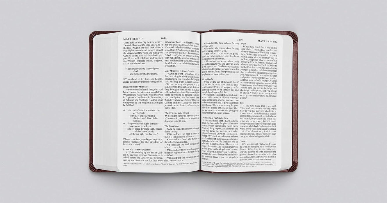 ESV Value Large Print Compact Bible (TruTone, Mahogany, Border Design)