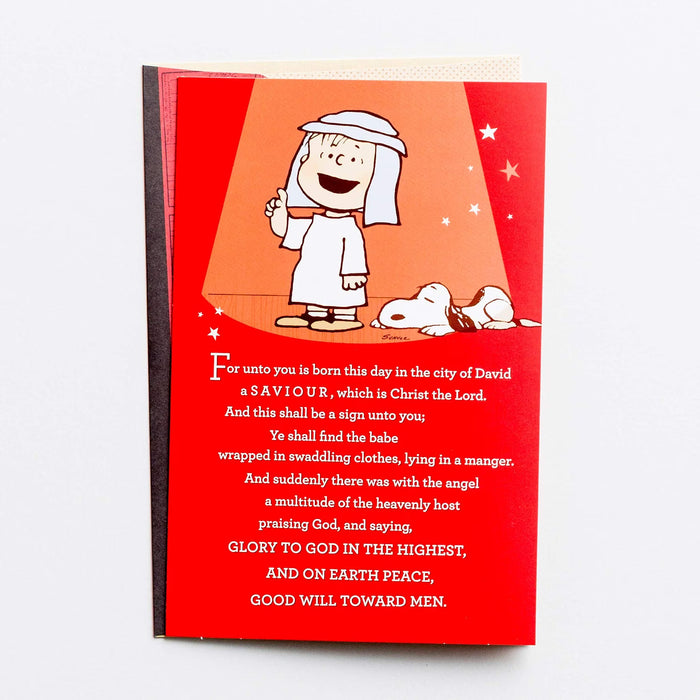 DaySpring - Peanuts That's What Christmas is All About Charlie Brown, Box of 16