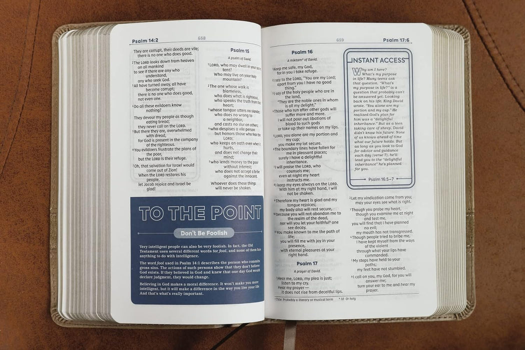 NIV Teen Study Bible Compact Leathersoft Brown