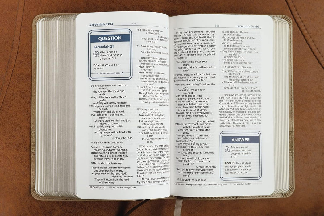 NIV Teen Study Bible Compact Leathersoft Brown