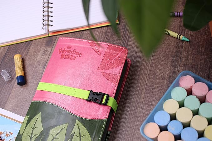 NIV ADVENTURE BIBLE LEATHERSOFT PINK GREEN