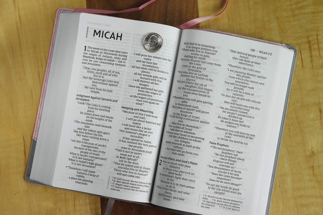 NIV Personal Size Bible Lg Print Pink/Gray Leathersoft