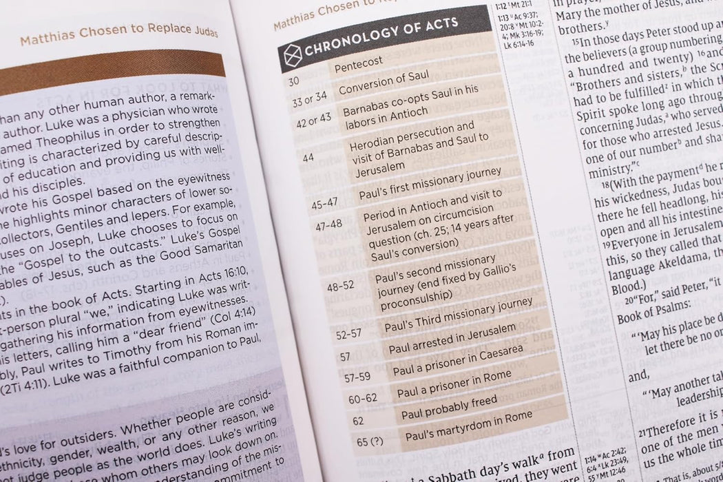 NIV Application Bible, Personal Size, Leathersoft, Brown/Blue, Red Letter, Comfort Print