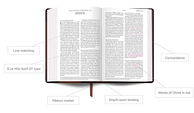 ESV Lg Print Personal Size Bible TruTone Chestnut