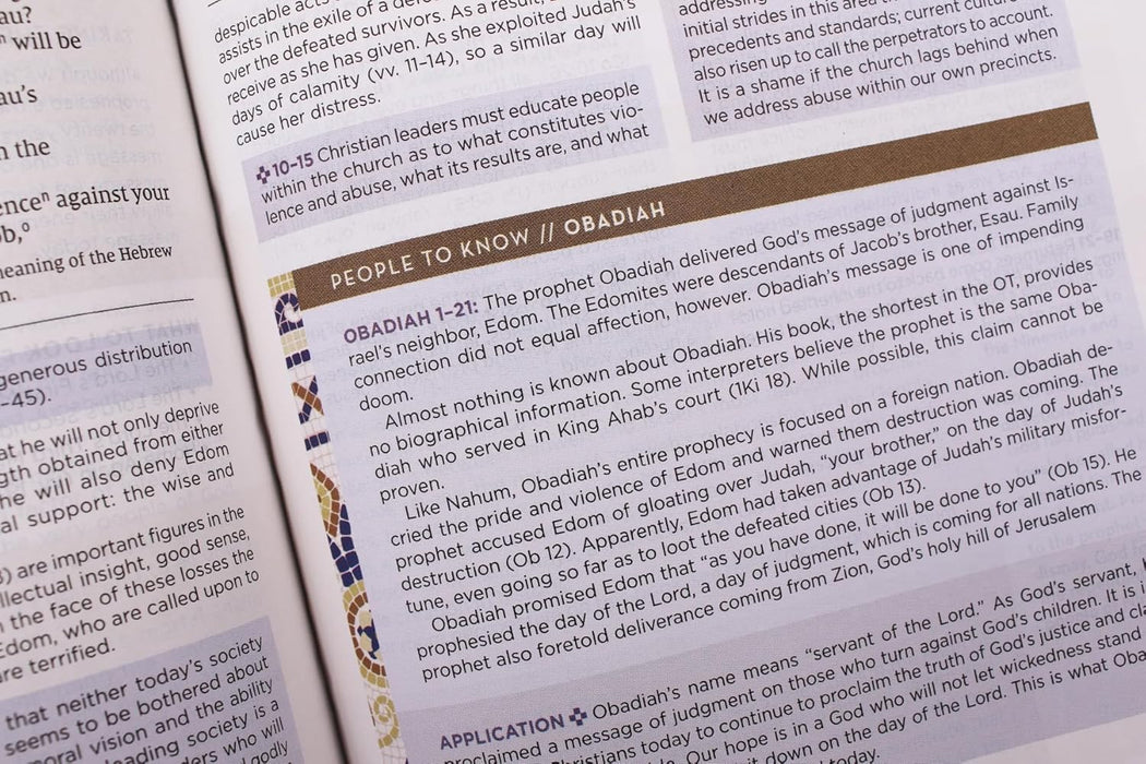 NIV Application Bible, Personal Size, Leathersoft, Brown/Blue, Red Letter, Comfort Print