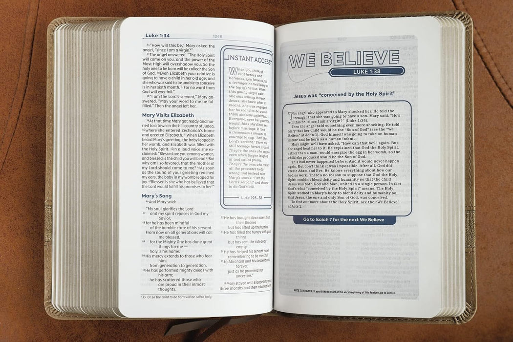 NIV Teen Study Bible Compact Leathersoft Brown