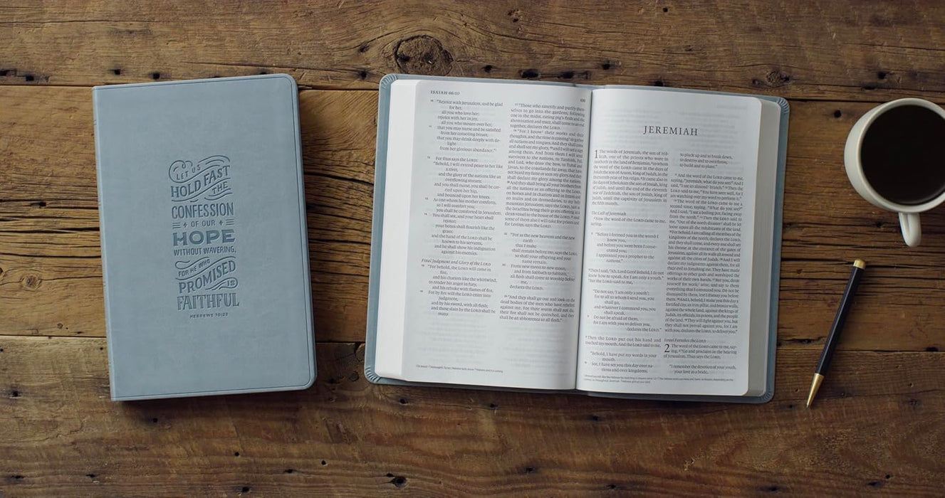 ESV Large Print Value Thinline Bible (TruTone, Paris Sky, Hebrews 10:23 Design