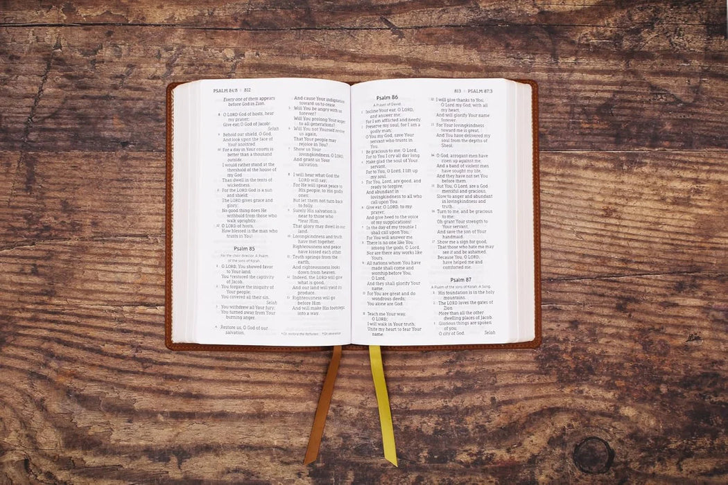 NASB, Personal Size Bible, Large Print, Leathersoft, Brown, Red Letter, 1995 Text, Comfort Print