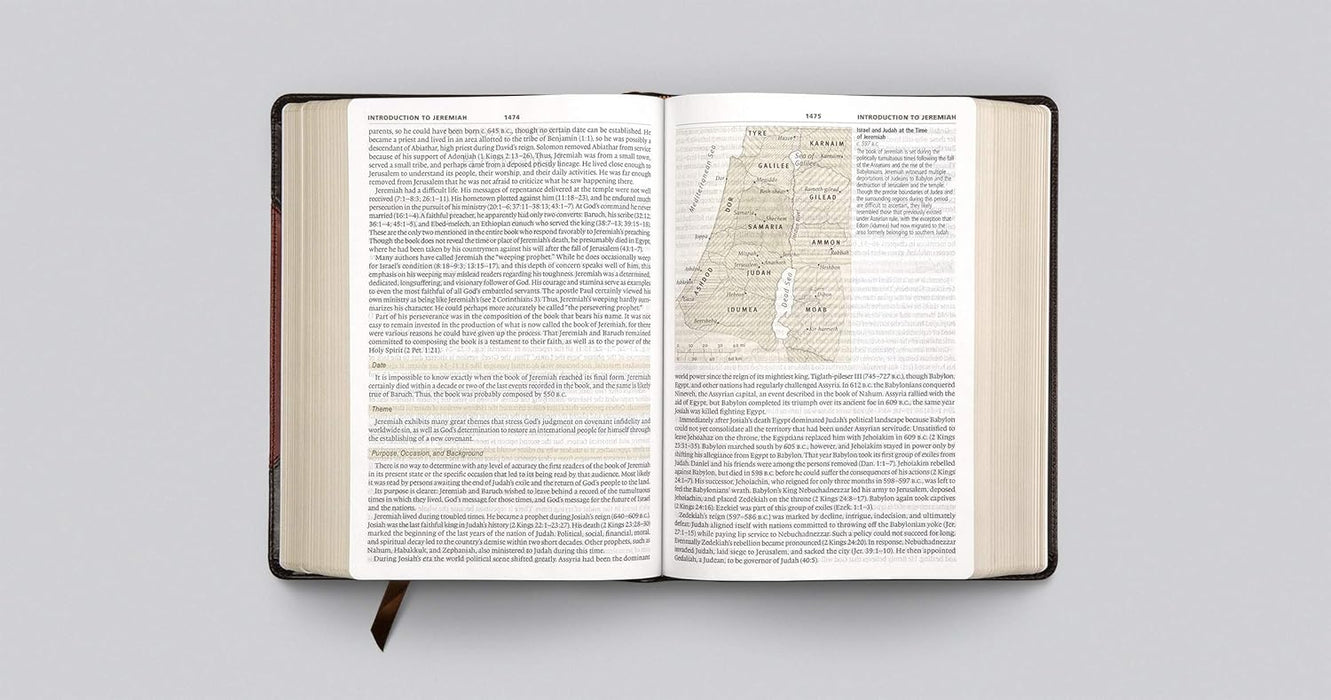 ESV Study Bible, Large Print TruTone®, Brown/Cordovan, Portfolio Design