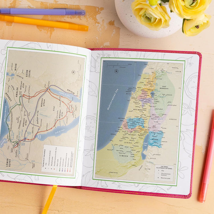 CSB Journal and Draw Bible for Kids, Pink LeatherTouch