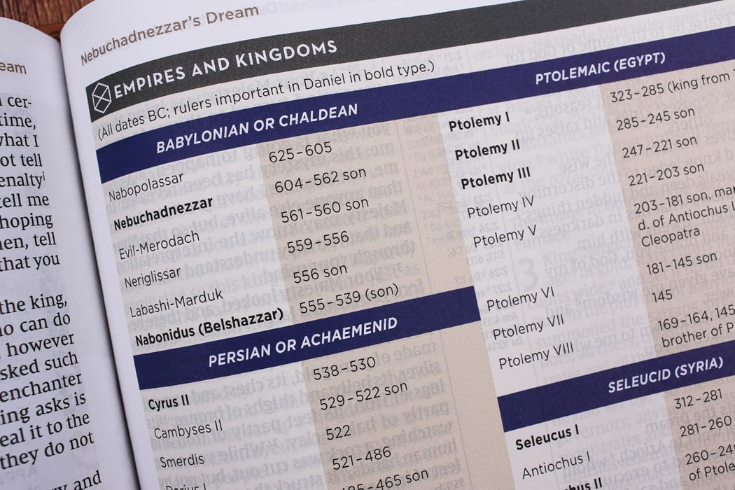 NIV Application Bible, Large Print, Leathersoft, Brown, Red Letter, Comfort Print