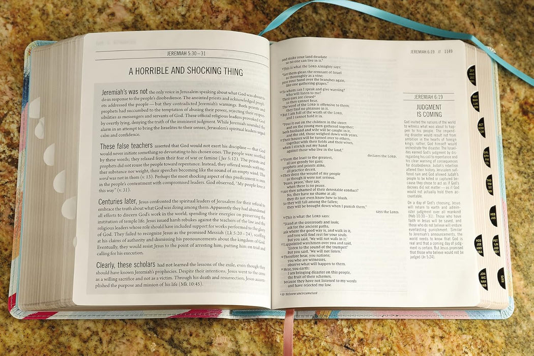 NIV The Jesus Bible- MultiColor/Teal Leathersoft