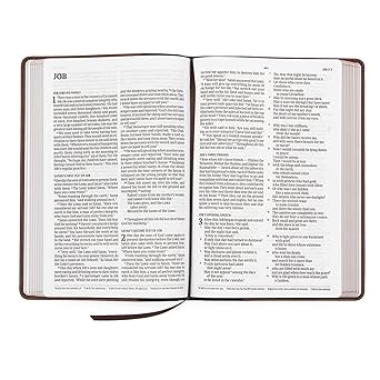 CSB Large Print Thinline Bible, Black/Brown LeatherTouch