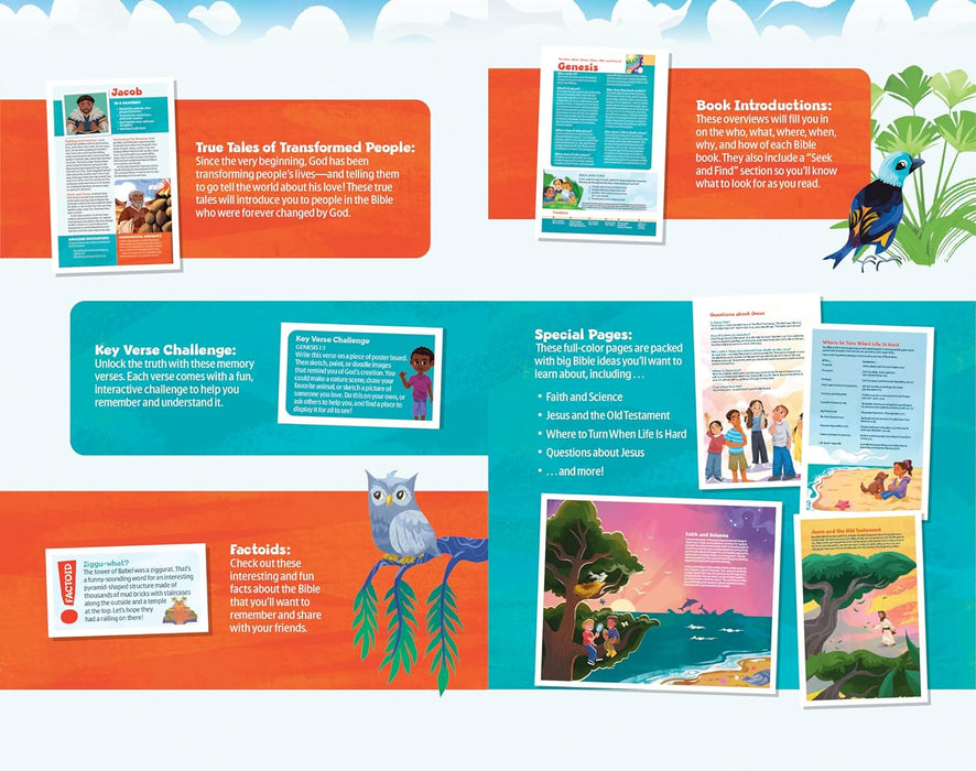 NLT Go Bible - Softcover - Morning Star Christian Bookstores