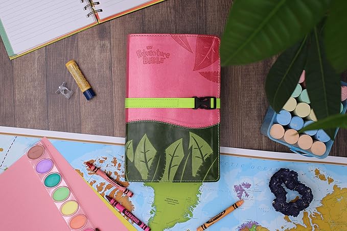 NIV ADVENTURE BIBLE LEATHERSOFT PINK GREEN