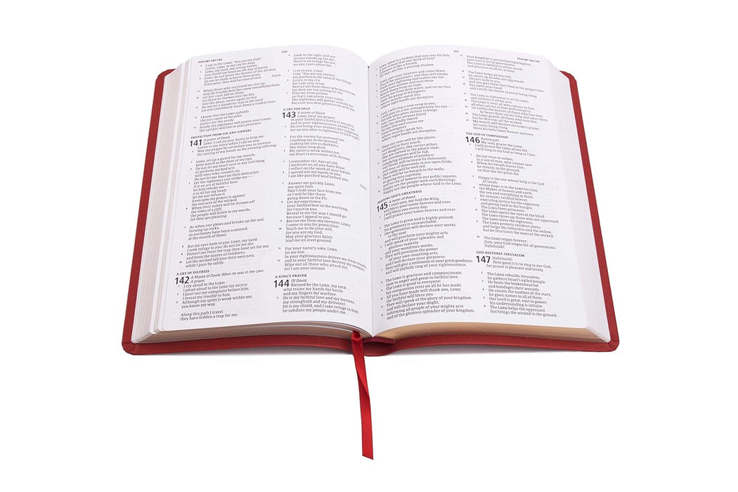 CSB DELUXE GIFT BIBLE, BURGUNDY LT