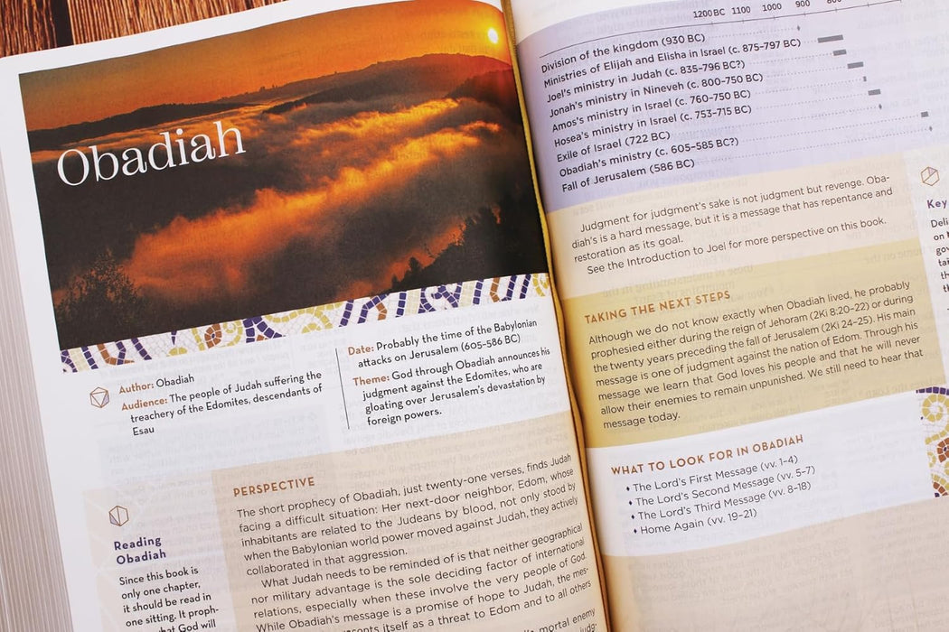 NIV Application Bible, Large Print, Leathersoft, Brown, Red Letter, Comfort Print