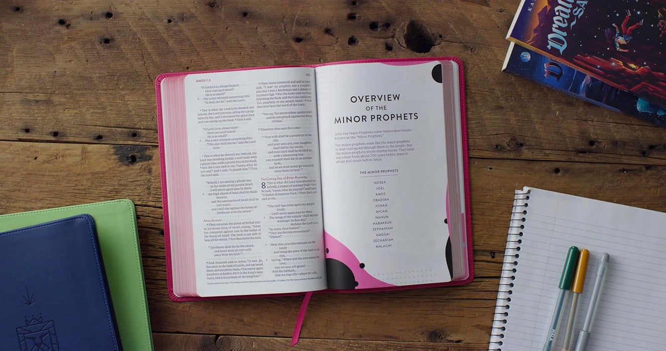 ESV Kid’s Bible, Thinline, Red Letter (TruTone, Berry, The True Vine Design)