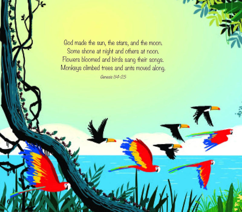 God's Great Plan Storybook Bible