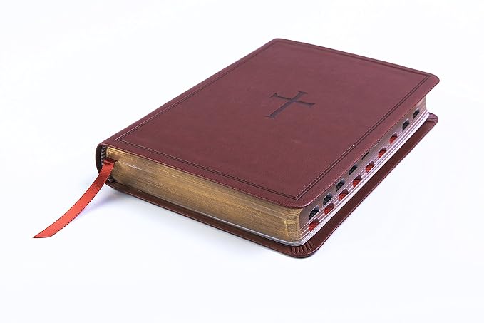 CSB COMP ULTRATHIN BIBLE, BROWN LT