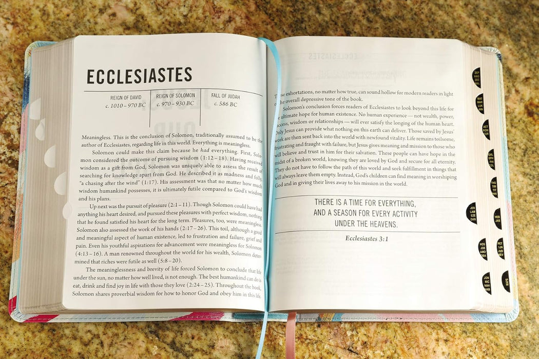 NIV The Jesus Bible- MultiColor/Teal Leathersoft