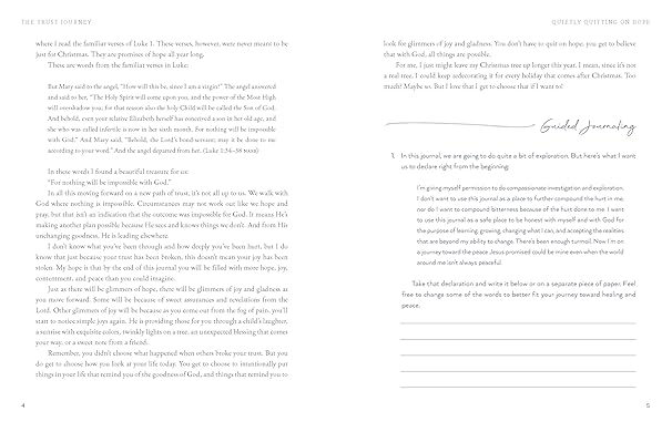 Trust Journey Guided Journal - Morning Star Christian Bookstores