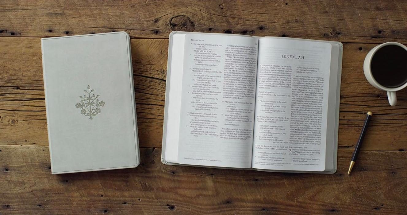 ESV Large Print Value Thinline Bible (TruTone, River Stone, Branch Design)
