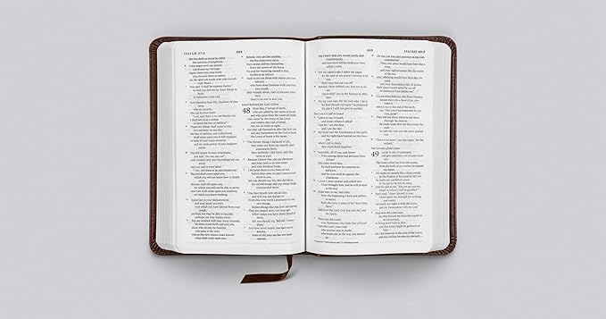 ESV Compact Bible (TruTone, Brown)