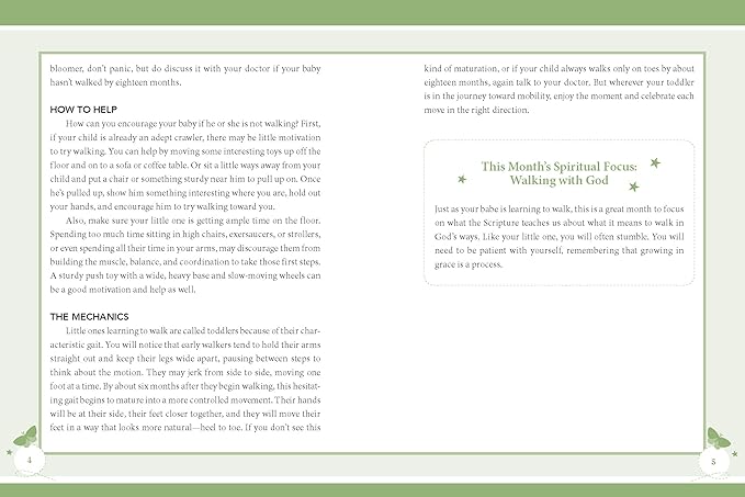 Walking in Wonder- A Devotional Journal For Moms - Morning Star Christian Bookstores