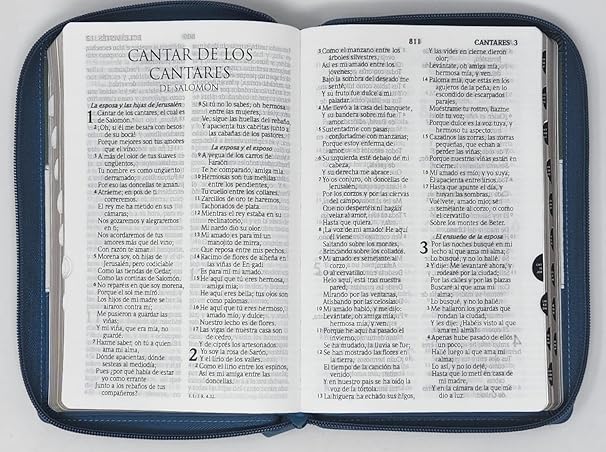 Biblia RVR60 Letra Grande – Tamaño manual / Tricolor: gris/crema/azul con indice y cierre