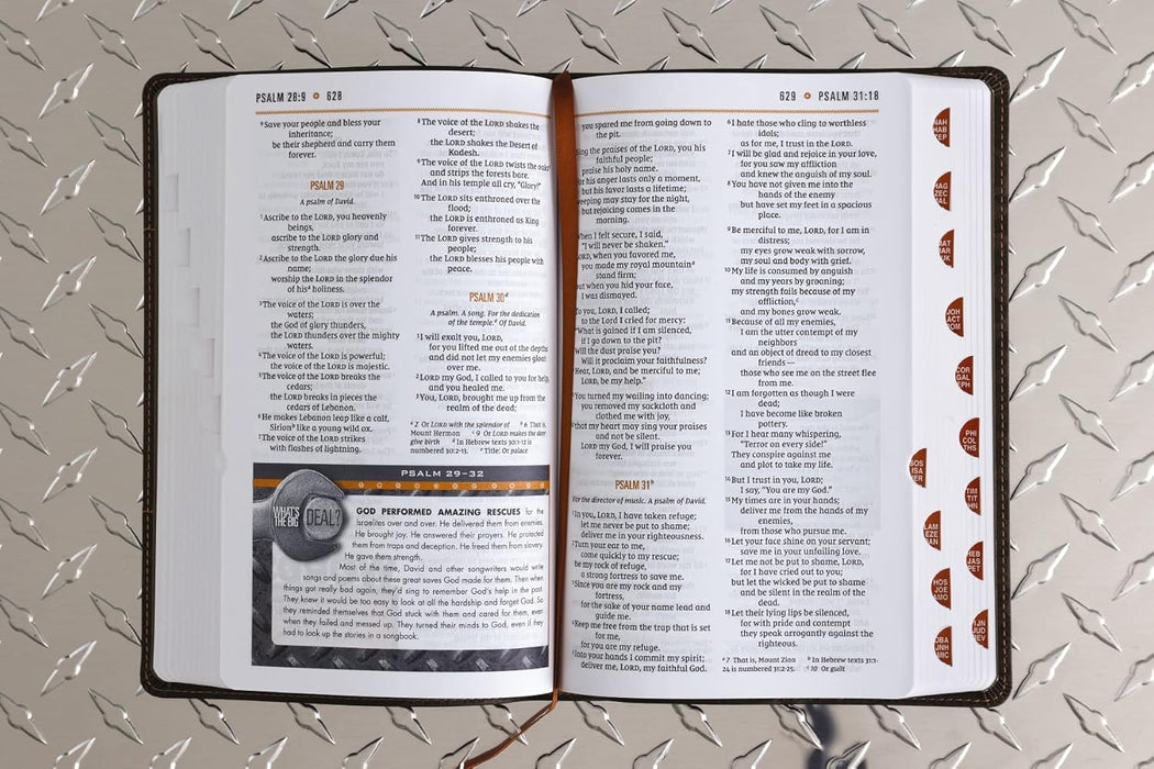 NIV Boys' Bible, Leathersoft Camo, Indexed - Morning Star Christian Bookstores