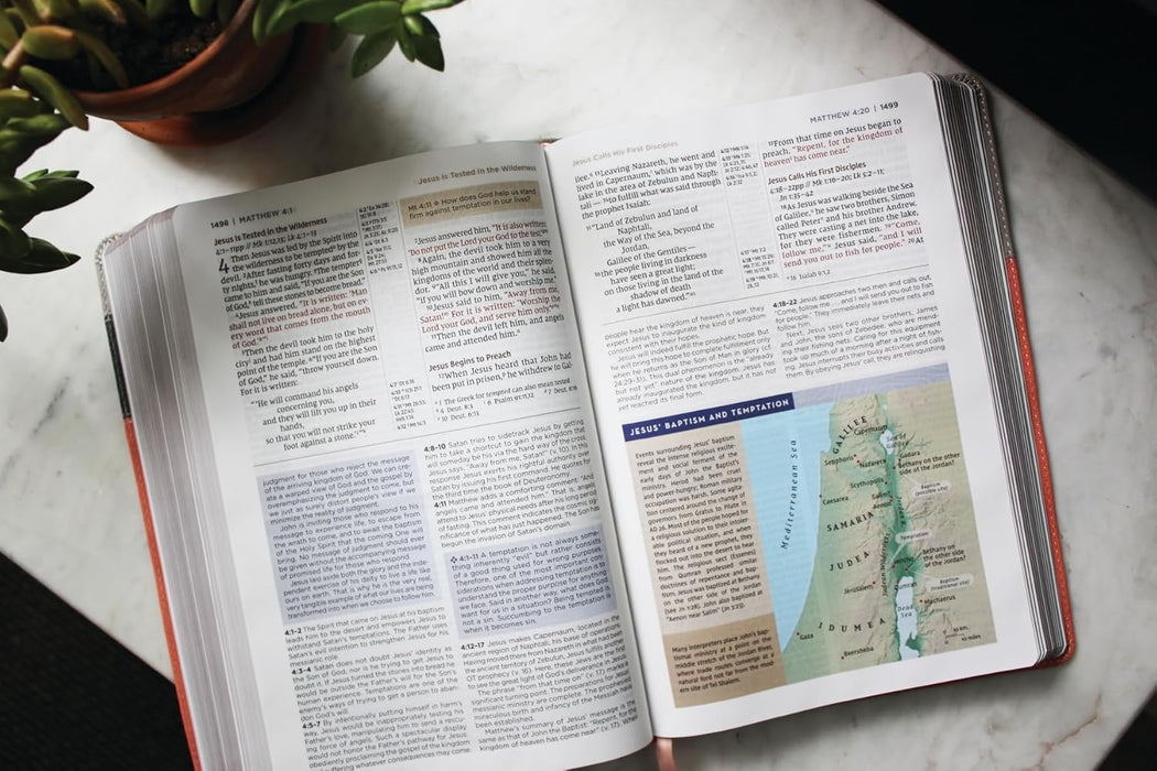 NIV Application Bible, Leathersoft, Coral/Gray, Red Letter, Comfort Print