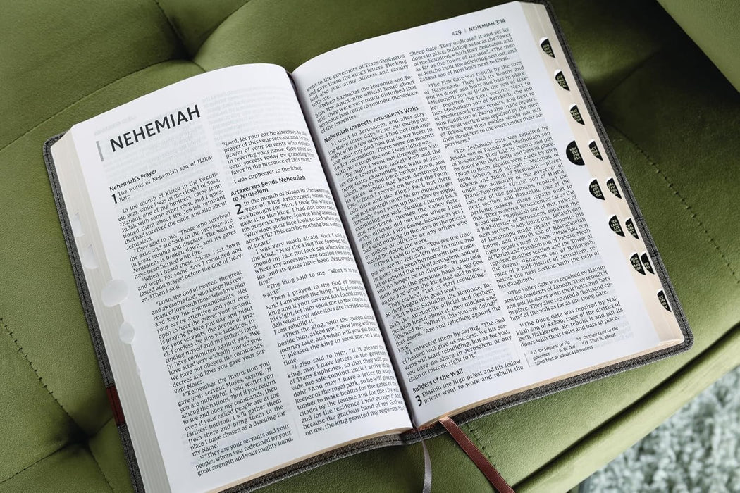 NIV, Thinline Bible, Large Print, Cloth Flexcover, Gray, Red Letter, Thumb Indexed, Comfort Print