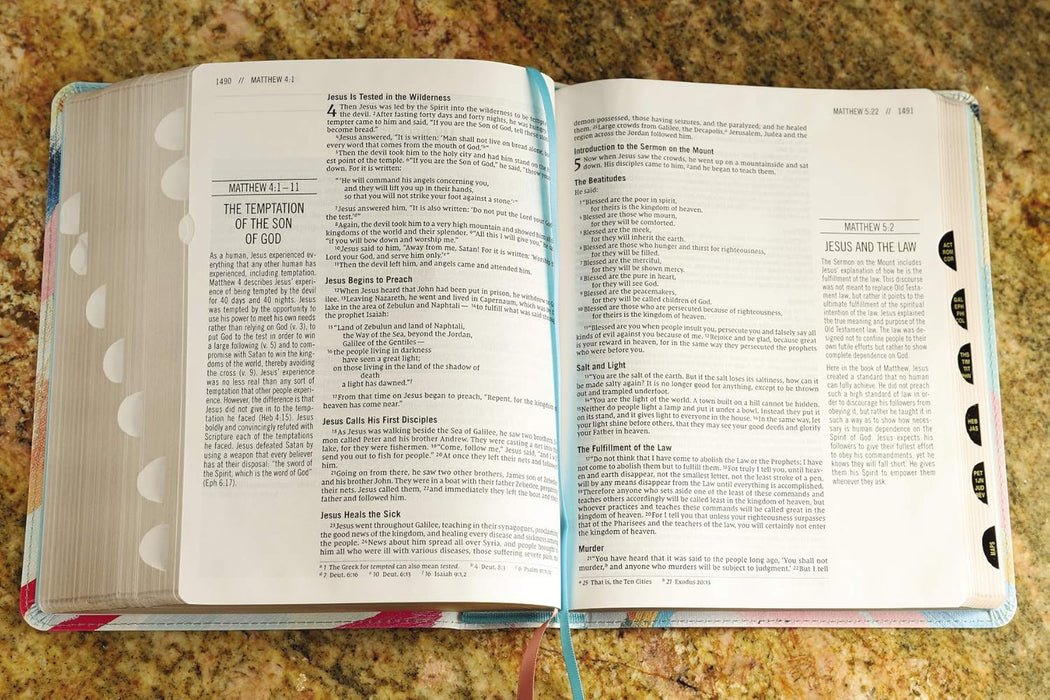 NIV The Jesus Bible- MultiColor/Teal Leathersoft