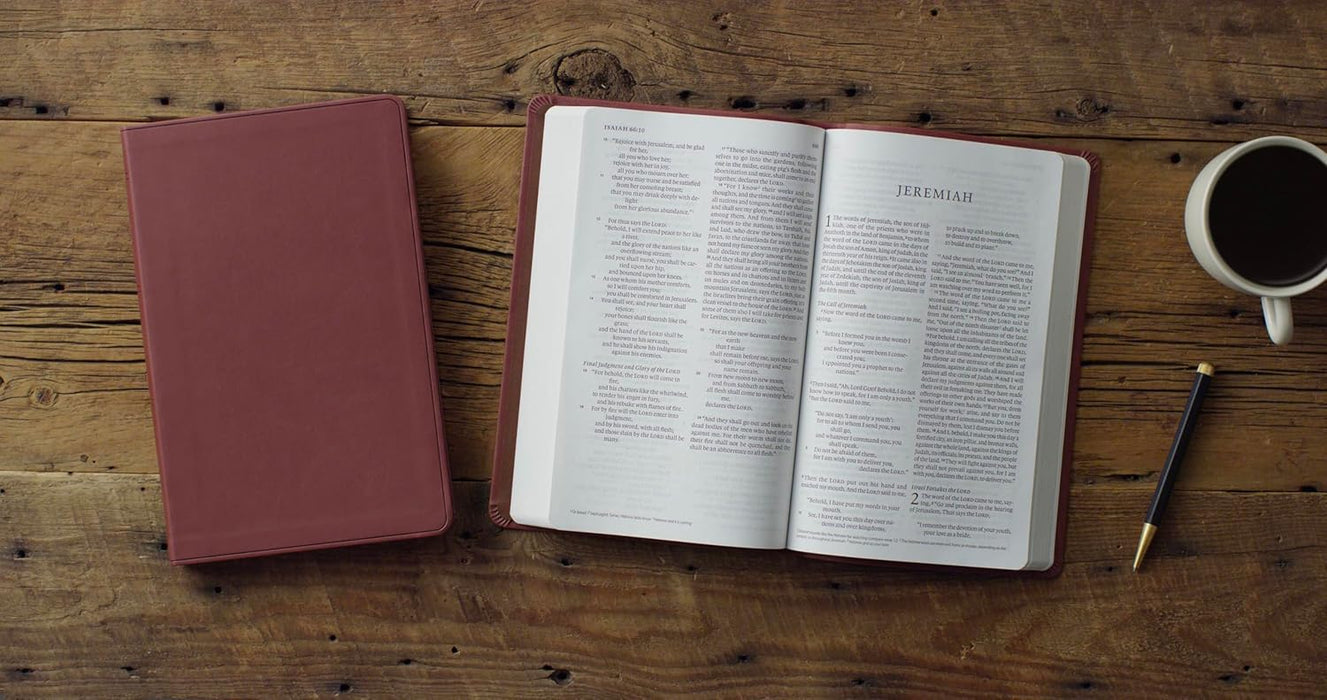 ESV Large Print Value Thinline Bible (TruTone, Chestnut)