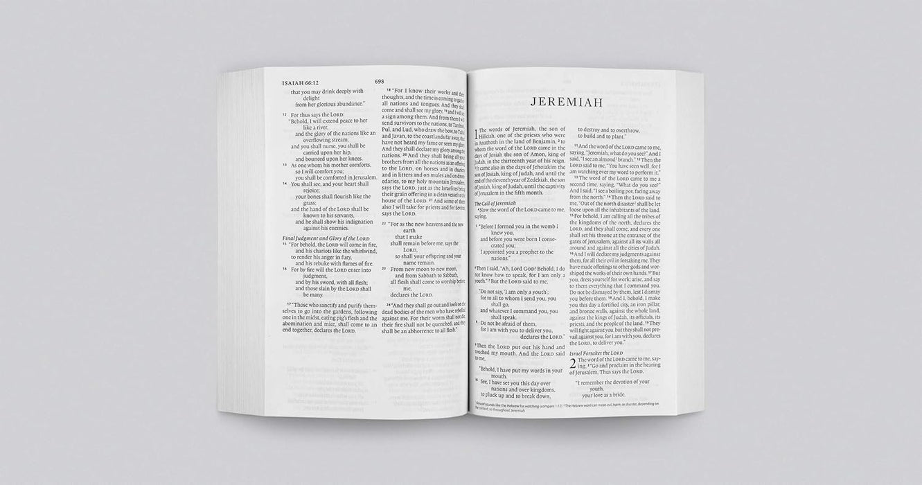 ESV Economy Bible, Large Print (Paperback)