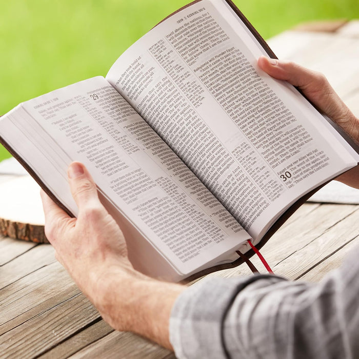 VERSE ART GIANT PRINT PURPLE BIBLE - Morning Star Christian Bookstores