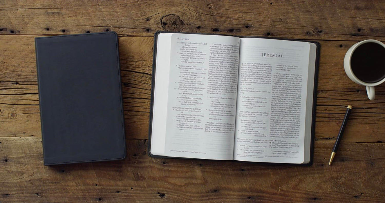 ESV Large Print Value Thinline Bible (TruTone, Black)