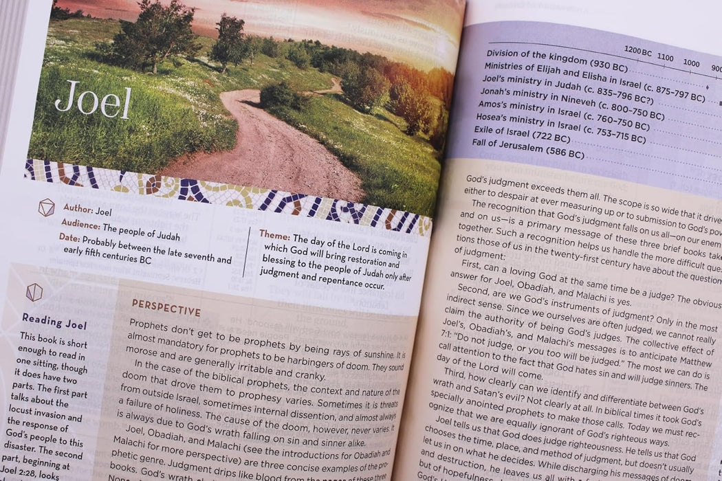 NIV Application Bible, Personal Size, Leathersoft, Brown/Blue, Red Letter, Comfort Print