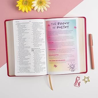 CSB Kids Bible, Pink LeatherTouch